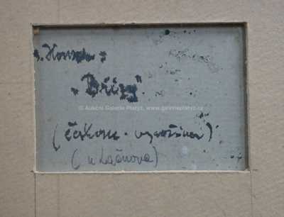  / Z Českomoravské vysočiny / Jan Honsa