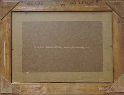  / Chaloupka pod mezí / Ota Bubeníček