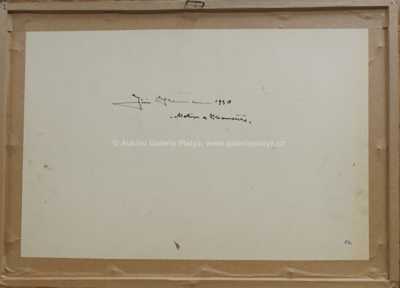  / Podzim v lese / Jiří Heřman