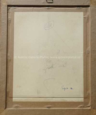  / Čtenář / Jan Šafařík