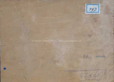  / Červánky / Viktor  Rolín