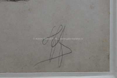  / Hudebník / Karel Stroff