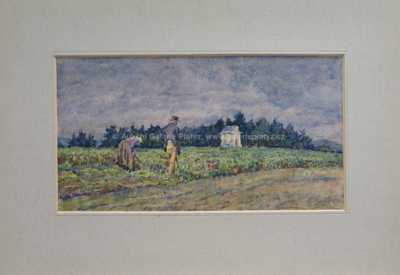 Adolf Kašpar - Sklizeň brambor