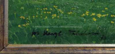  / Tetschen / Josef Stegl
