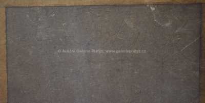  / Strom u chalupy / Karel Boháček