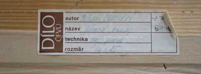  / Zámecké schody / Bohdan Obrovský