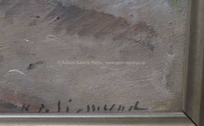  / Na Českomoravské vysočině / Karel Jan Sigmund