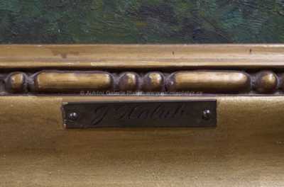  / Polabí /  Josef Holub