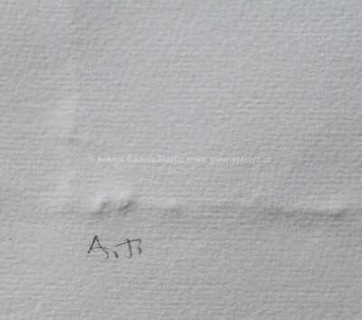  / Josef / Olbram Zoubek