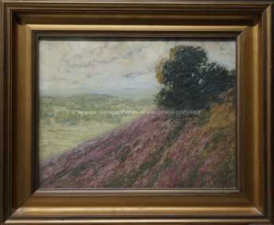 Antonín Augusta - Stráň vřesu