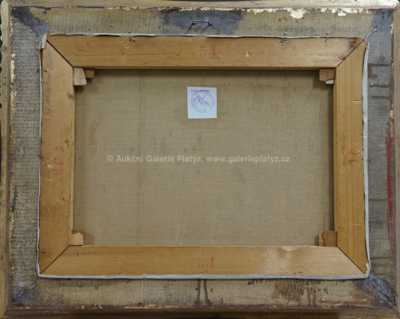  / Cornštejn / Roman Havelka