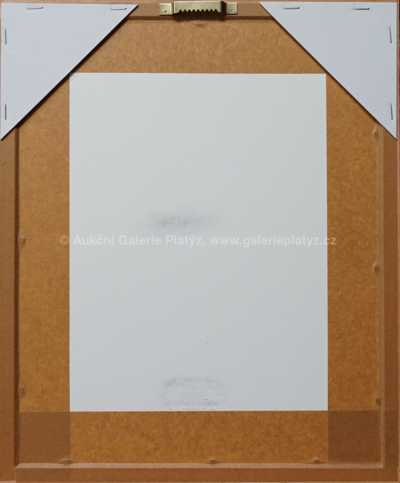  / Svatokrádežní les / Marie Čermínová - Toyen