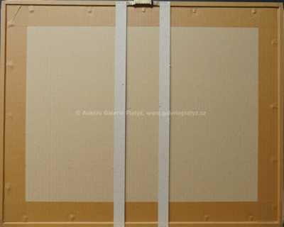  / Z cyklu Střelnice / Marie Čermínová - Toyen