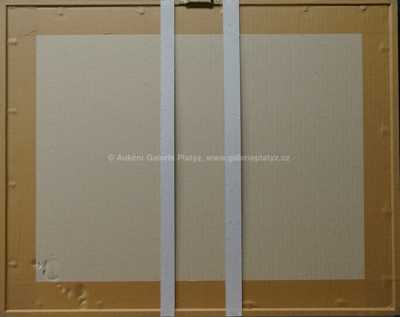  / Z cyklu Střelnice / Marie Čermínová - Toyen