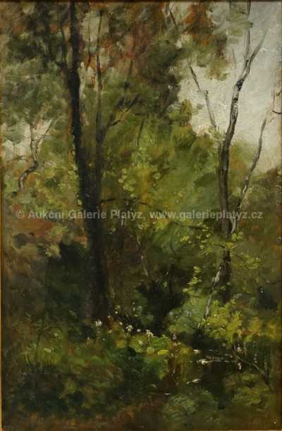  / Lesní motiv / Julius Mařák