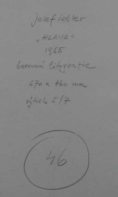  / Hlava / Josef  Istler