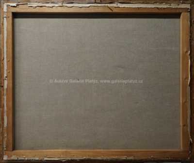  / Na poli / Otakar Nejedlý