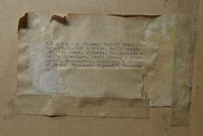  / Lesní potok / Rudolf Neumann