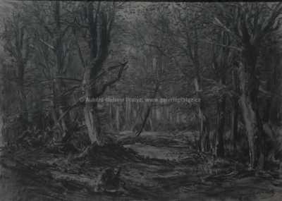  / Lesní mýtina / Julius Mařák