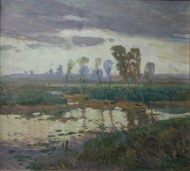  / Zarostlý rybník / Josef Ullmann