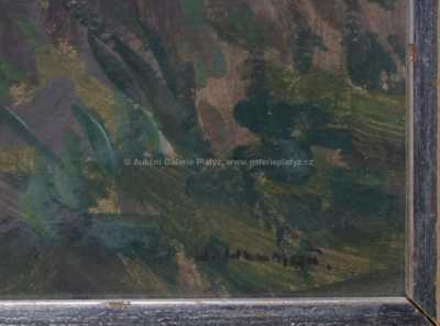  / Zarostlý rybník / Josef Ullmann