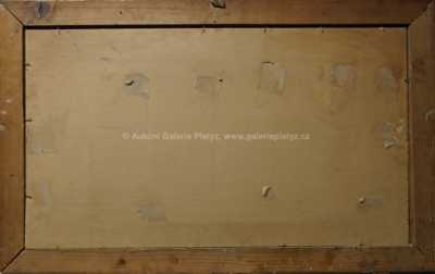  / Pohled na Pražský hrad / Oskar Schmidt