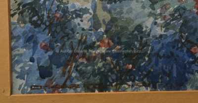  / Pohled na Pražský hrad / Oskar Schmidt