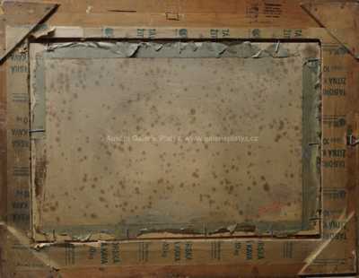  / Tání / Jaroslav Panuška