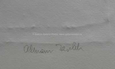  / Astronomie / Olbram Zoubek