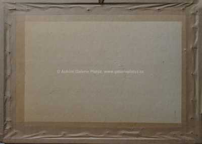  / Studie vodníka / Jaroslav Panuška