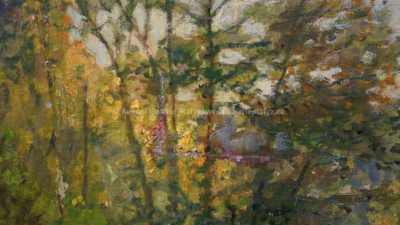  / Rybník v lese / Karel Langer