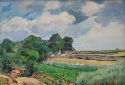  / Letní krajina / Jan Klos