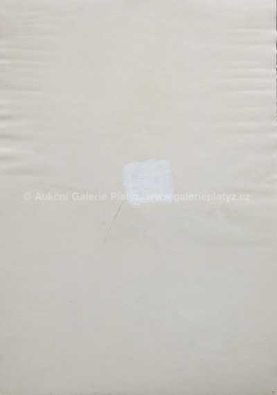  / Poslední výstřel / Zdeněk Burian