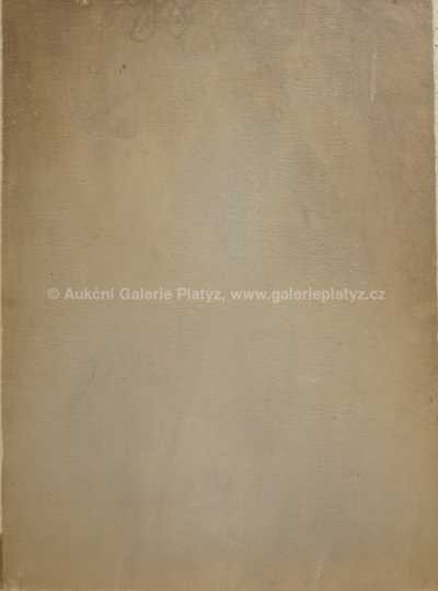  / Božena Němcová / Zdeněk Burian