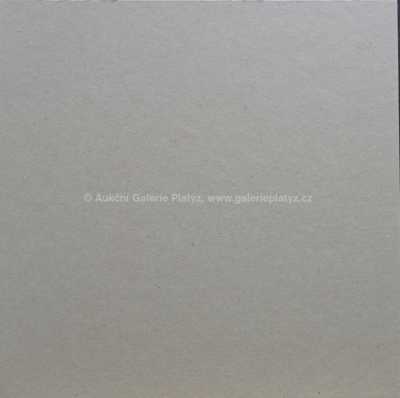  / Pliopithecus / Zdeněk Burian