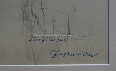  / Pliopithecus / Zdeněk Burian