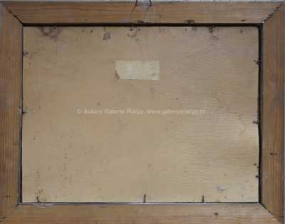  / Zamračený den / Jaroslav Panuška