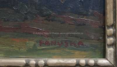  / Zamračený den / Jaroslav Panuška