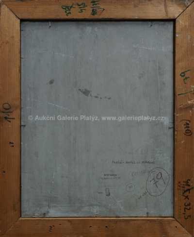  / Pohled na Prahu / Vilém  Kreibich