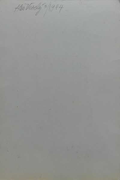  / Bez názvu / Aleš Veselý