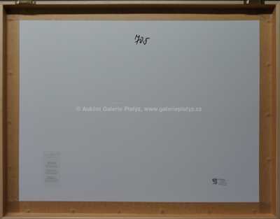  / Labutě / Marie Čermínová - Toyen