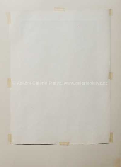  / Bolest / Jan  Zrzavý