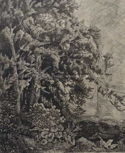  / Na pokraji pralesní divočiny / Julius Mařák