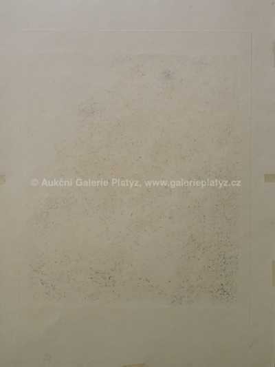  / Na pokraji pralesní divočiny / Julius Mařák