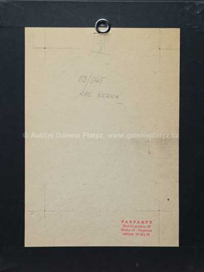  / Dáma s vějířem / František  Tichý