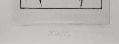  / Dáma s vějířem / František  Tichý