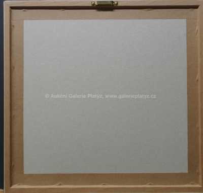  / Proti vlnám / Zdeněk Burian