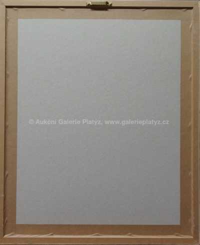  / Při bouři / Zdeněk Burian