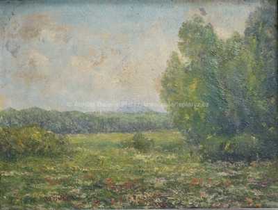  / Konvolut dvou kusů /  Josef Holub