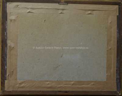  / Zarostlý rybník / Otakar Hůrka